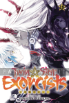 Twin Star Exorcists 18