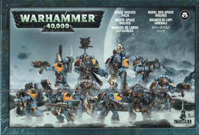 Space Wolves: Grey Hunters  (10)