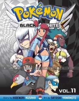 Pokemon Black and White 11