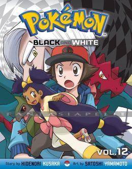 Pokemon Black and White 12