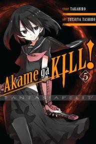 Akame Ga Kill! 05